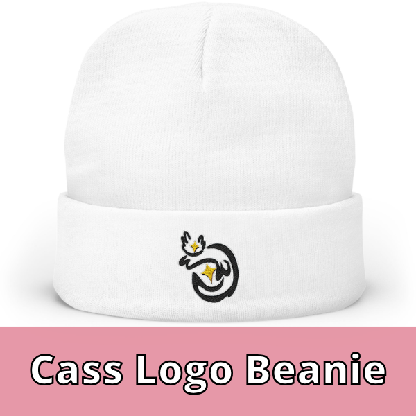 Cass Embroidered Knit Beanie