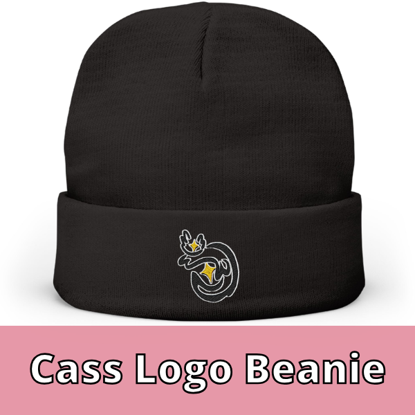 Cass Embroidered Knit Beanie